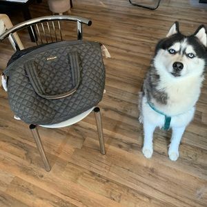 MZWALLACE Sutton Tote, NWT (dog not included)